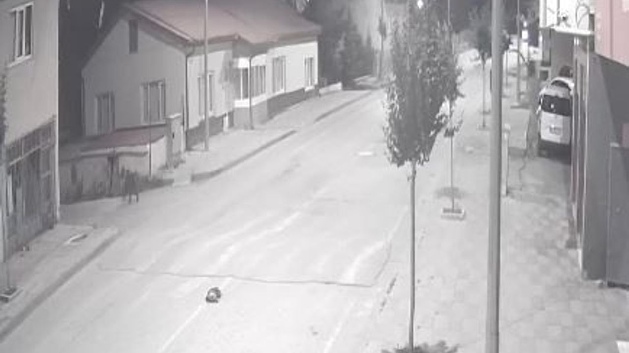 Sivas’ta Ayılar Mahalleye Gelince Halkın Tepkisi Merak ve Tedirginlik Oldu