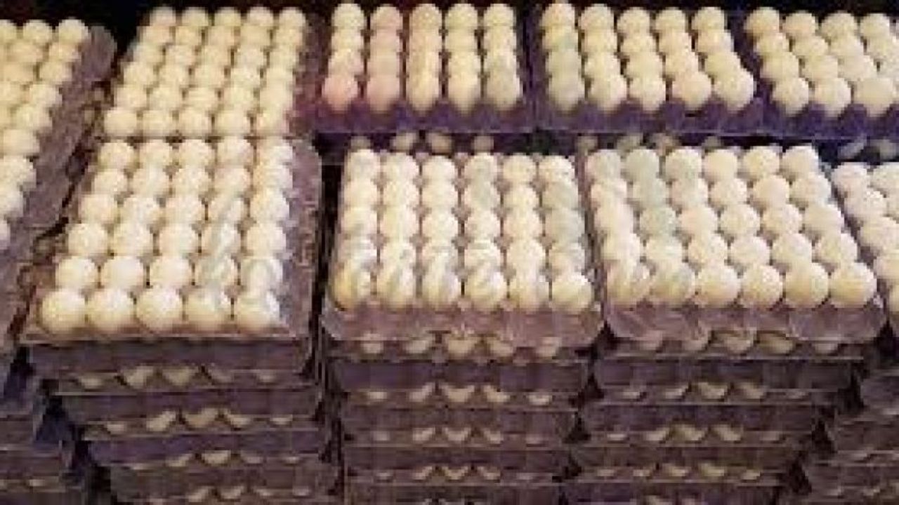 Şanlıurfa’da Son Kullanma Tarihi Geçmiş 170 Koli Yumurta Ele Geçirildi