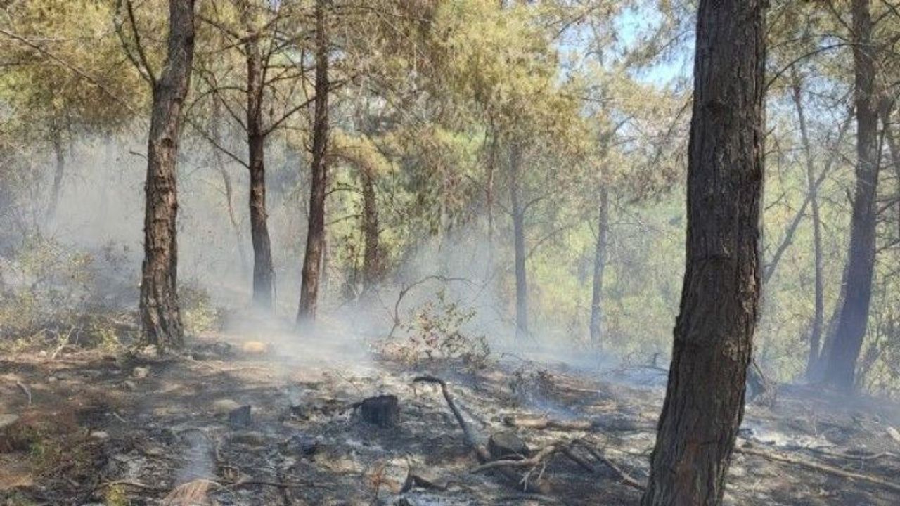 Osmaniye Düziçi’nde Orman Yangını Büyümeden Söndürüldü