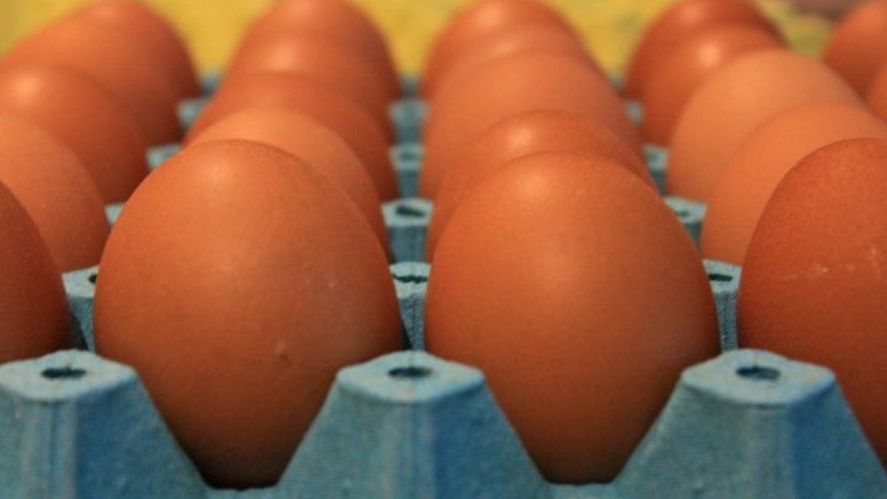 Yumurtanın Bilinmeyen Faydaları: Sağlıklı Yaşamın Anahtarı!