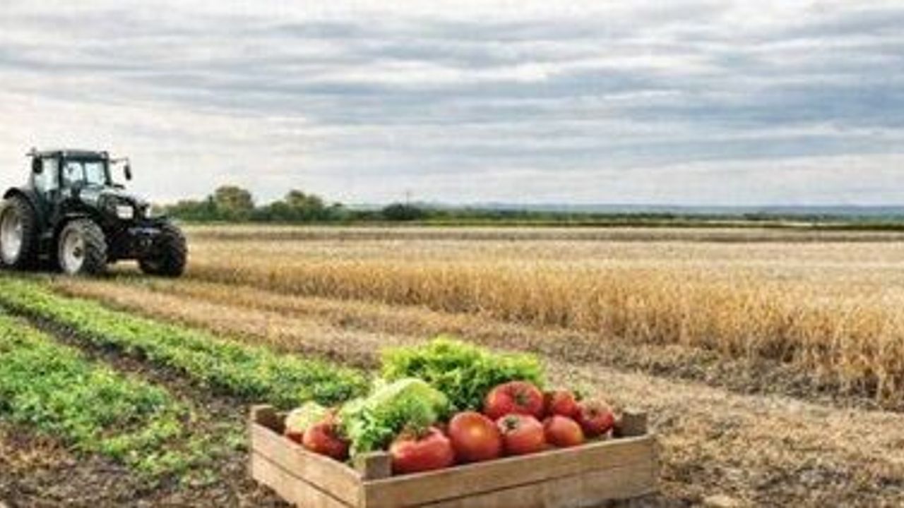 Şanlıurfa’da Üreticiler İçin Kritik Buluşma: 