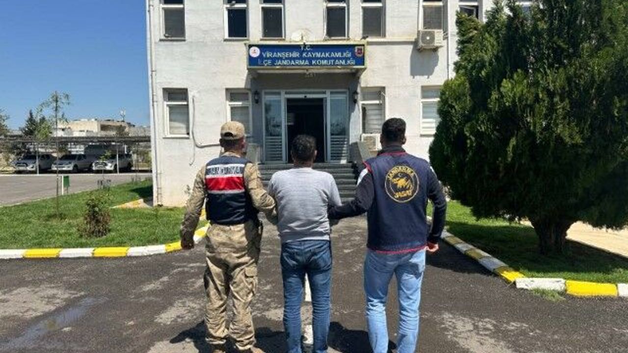 Şanlıurfa'da Firari Silah Kaçakçısı Jandarma Tarafından Yakalandı
