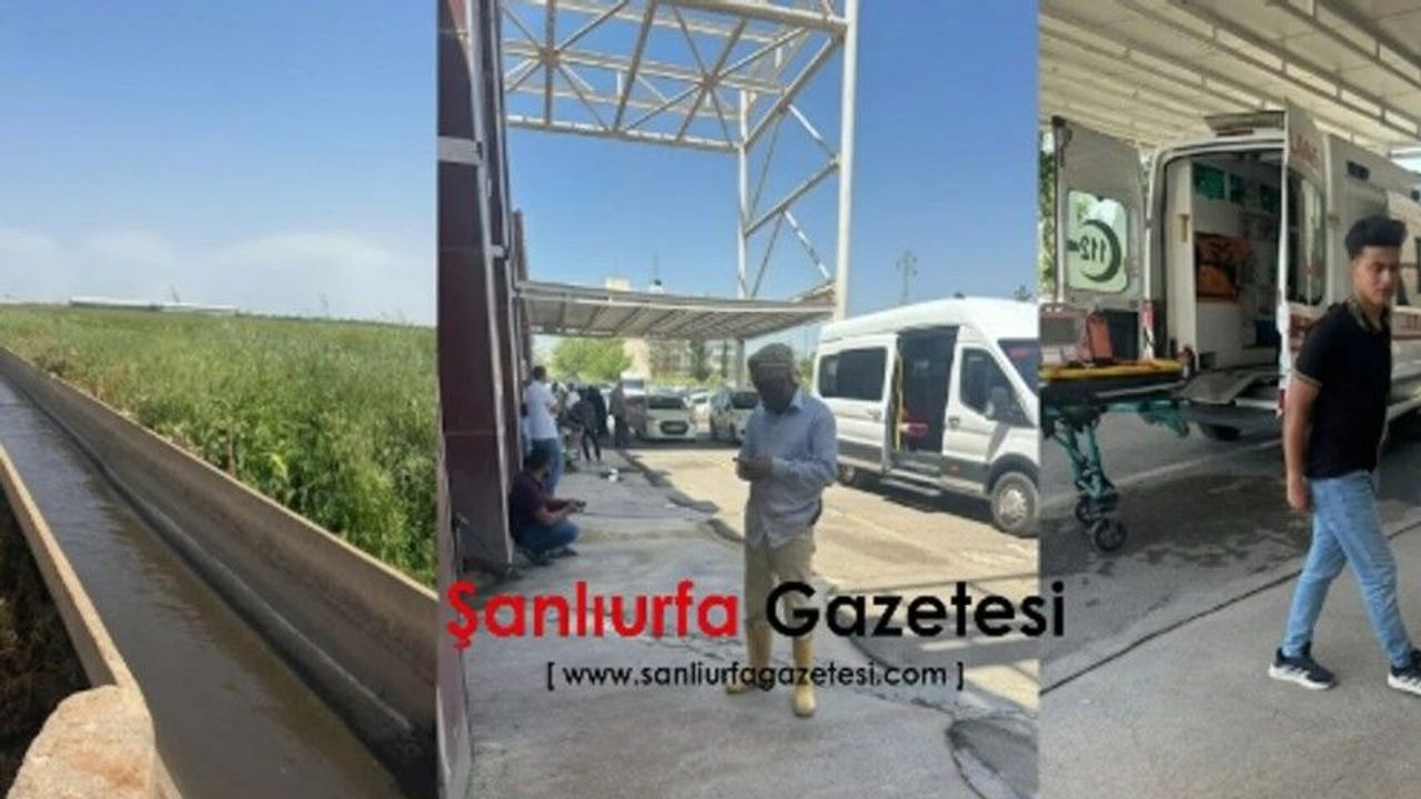 Şanlıurfa’da Sulama Kanalına Düşen Kardeşlerden Acı Haber