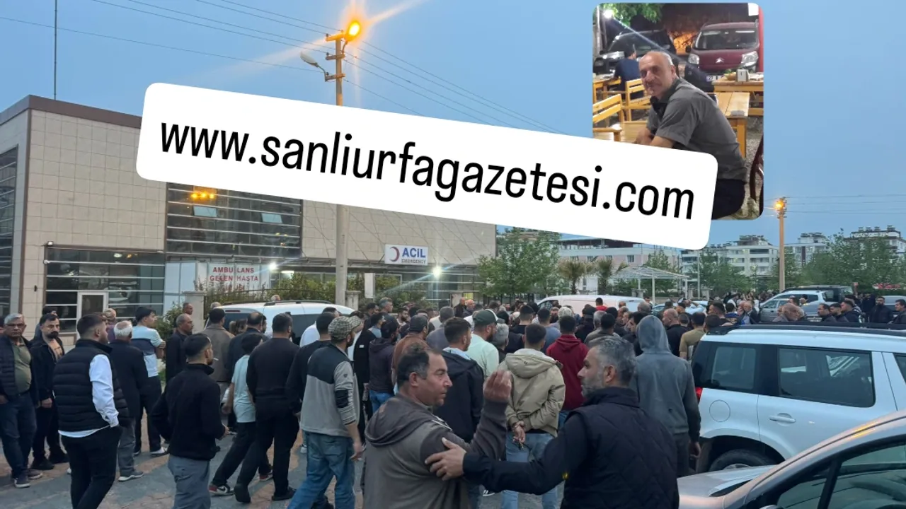 Şanlıurfa'da hayvan kavgası 1 ölü 2 gözaltı