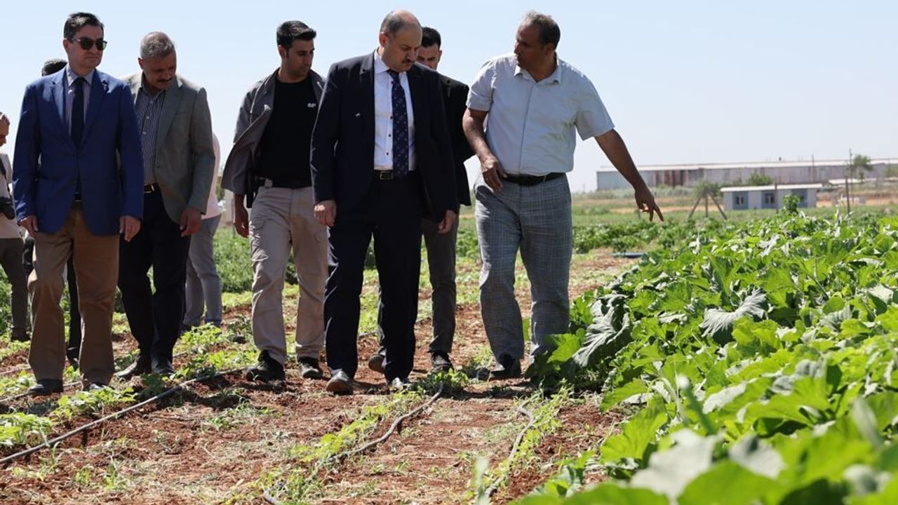 Başkan Gülpınar’dan Dünya Çiftçiler Günü Mesajı