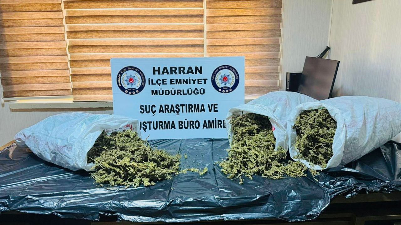Şanlıurfa’da Narkotik Operasyonu: 8 Kilo Esrar Ele Geçirildi