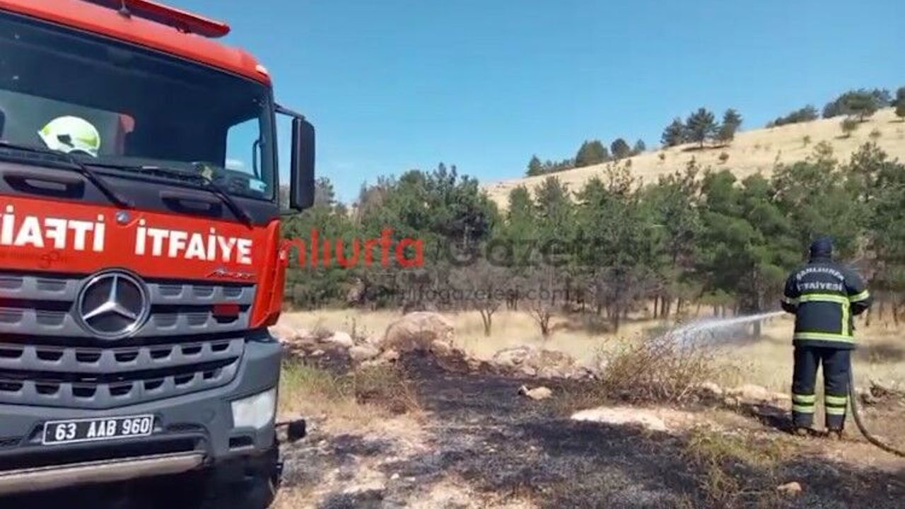 Şanlıurfa’da Orman Yangını Korkuttu: Ekipler Alevleri Büyüme