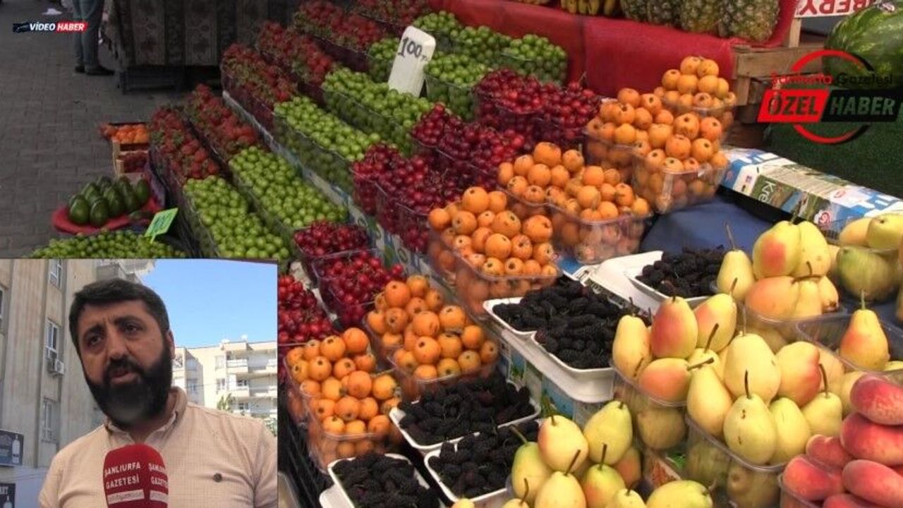 Şanlıurfa’da Dalbastı Rekoru! Vatandaş Fiyatı Görünce Şaşırdı