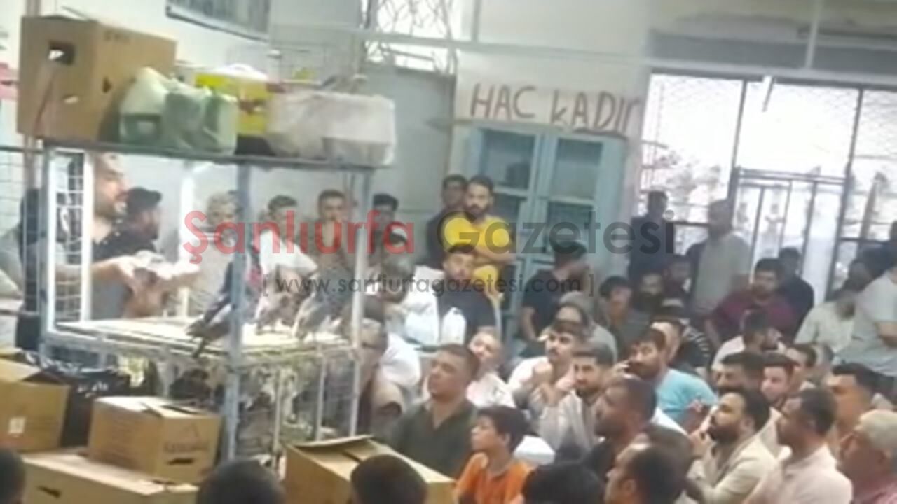 Şanlıurfa’da Kuş Meraklıları İhalede Buluştu