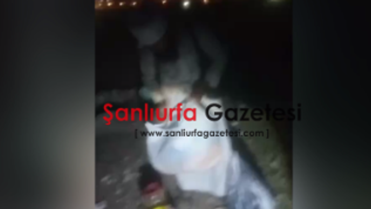 Özbekistanlı şahıs kaçarken Şanlıurfa’da yakalandı!
