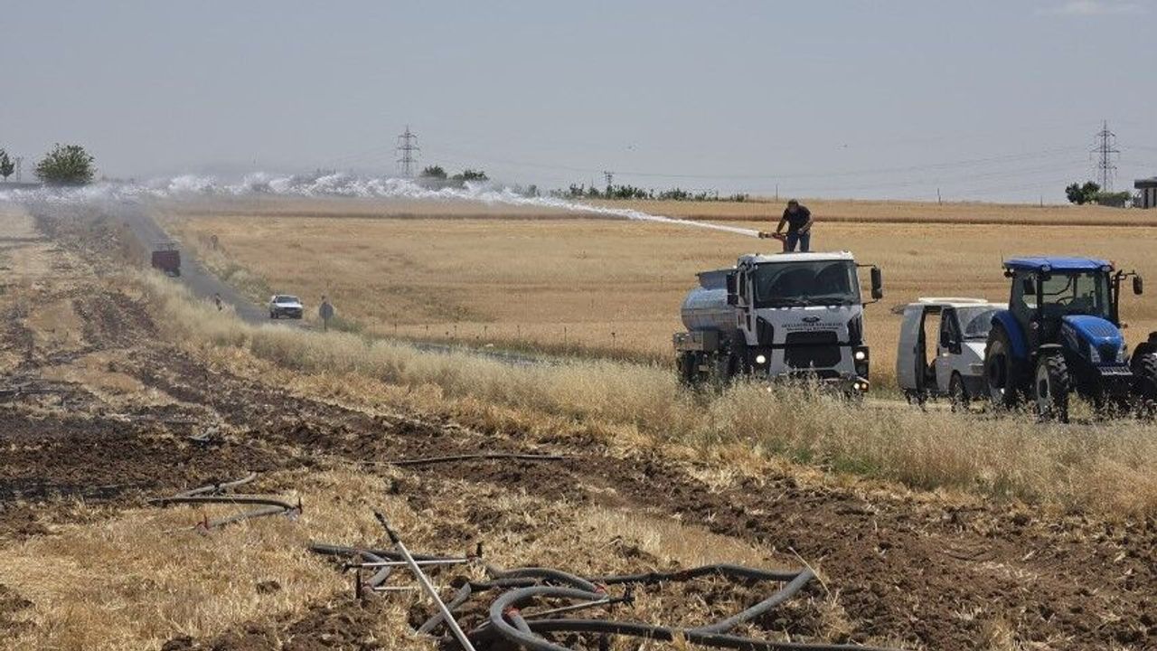 Şanlıurfa'da Tarım Arazisinde Yangın Paniği