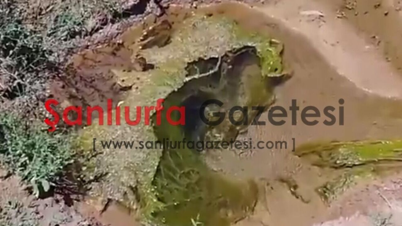 Şanlıurfalı vekil Tanal’dan Akçakaleli çiftçinin sorunlarına çağrı