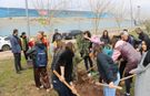 Türkiye–Romanya Dostluk Parkı için Şanlıurfa’da ilk fidanlar dikildi