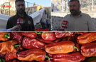 İsotun Memleketinde Biber Krizi: Şanlıurfa’da Fiyatlar Gündem Oldu
