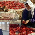 Şanlıurfa’da Kadınların Yaşadığı Sorunlar Ortaya Çıktı! Uzman Psikolog Anlattı