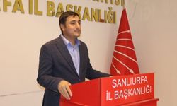 Karadağ; Şanlıurfa'da Sivrisinek ve Çekirge İstilası yaşıyoruz 