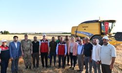 Vali Şıldak, Şanlıurfa'da buğday üretiminde 2,2 milyon ton rekolteye ulaştırmayı hedefliyoruz.(Video)