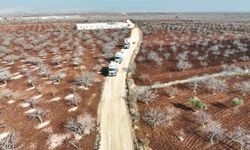 Büyükşehir Belediyesi, Birecik ve Halfeti"de güvenli ulaşım için çalışıyor (Video)