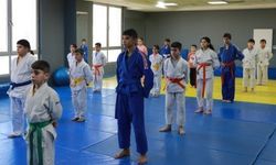 Haliliye belediyesi judo kursu, çocuklardan yoğun ilgi görüyor  (Video)