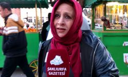 Fıstık Dünyasına Meydan Okuma: "En İyisi Şanlıurfa'da!"