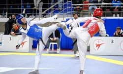 Türkiye Büyükler Taekwondo Şampiyonası sona erdi