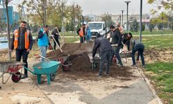 Yemyeşil Eyyübiye İçin Sahadalar (video)