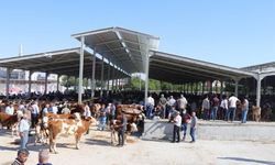 Şanlıurfa Karaköprü’de Kurban Kesim Yerleri Açıklandı