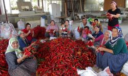 Dünyanın gözü Şanlıurfa'da olacak, büyük gün geldi: "Gastronomi kentinde pazarlar alev alacak"