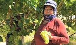 Şanlıurfa'da tarım bereketlenecek: Tarım Bakanı Yumaklı müjeyi verdi!