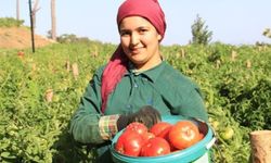 Şanlıurfa'nın ihracat raporu belli oldu: 304 milyon 171 bin dolarlık satış