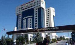 Tarım ve Orman Bakanlığı sözleşmeli personel alım ilanı yayınladı