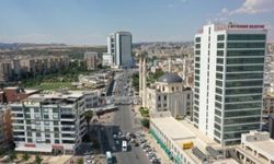 Şanlıurfalı çiftçiler dikkat: Bedava fidan kazanmak artık çok kolay, Şanlıurfa Büyükşehir Belediyesi açıkladı