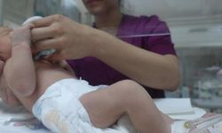 TÜİK verileri paylaştı; Şanlıurfa için kritik rakam