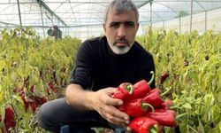 Şanlıurfalı çiftçilere seminer verildi