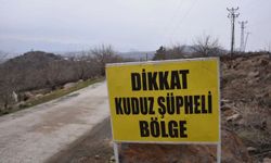 Siverek'te Köpek Saldırısı Sonrası Kuduz Şüphesi: Tedavi ve Önlemler Alınıyor