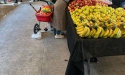 Şanlıurfa'da Ramazan’da Sebze-Meyve Fiyatları Uçtu: Patlıcan 100 Biber 150 TL!