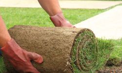 RULO ÇİM SATIN ALINACAKTIR