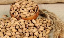 TİGEM'den Antep Fıstığı Satışı: Lezzet ve Kazanç Bir Arada