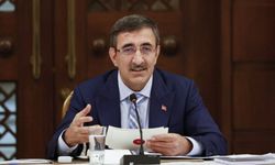 Cumhuriyet tarihinin en düşük seviyesi alarm verdi: "Tek istisna Şanlıurfa!"