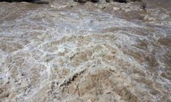 Doğu Anadolu'da Karların Erimesiyle Nehirler Coştu, Erzincan Barajlarındaki Doluluk Oranı Arttı