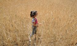 Dünya Hububat Piyasasında Hareketlilik