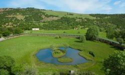 Bingöllüler Zengin Oldu: En Güzel Köy Seçildi!