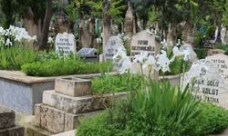 Şanlıurfa'da Beyazkuş Ailesinin Acı Günü: Taziye Adresi Belli Oldu