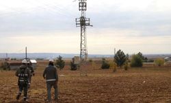 Şanlıurfa'nın iki ilçesinde kaçak elektrik oranı yüzde 95'e yükseldi.