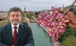 Zirai Don Şanlıurfa’yı Vurdu!