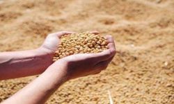 YEM SATIN ALINACAKTIR