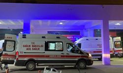 Şanlıurfa’da Otomobil Şarampole Devrildi: 2’si Bebek 5 Yaralı