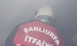 Şanlıurfa'da mevsimlik işçilerin evi dumanla bir oldu!