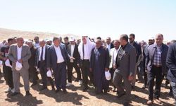 Şanlıurfa'da Tarım Felaketi: Kuraklık Üretimi Vurdu