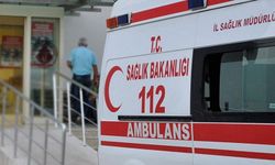 Şanlıurfa Viranşehir'de Akraba Kavgası: 5 Yaralı, 11 Gözaltı